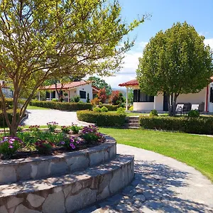 https://casa-alegria.hotelschalkidiki.net